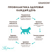 Сухой корм Grandorf ягнёнок с индейкой для котят, беременных и кормящих кошек 2 кг